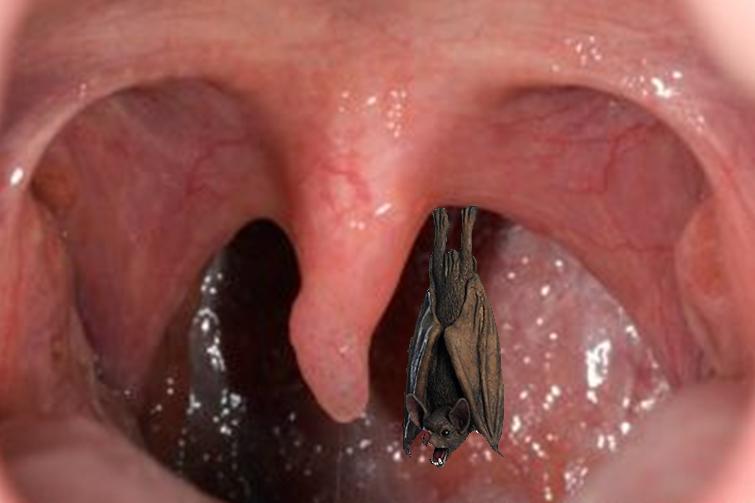 White Mucous In Throat 9